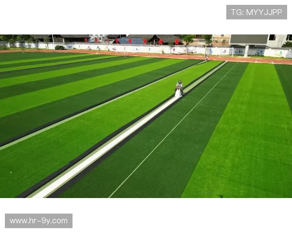 沿河榕江足球发展现状与未来规划分析促进地方体育文化繁荣